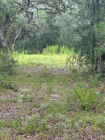 2.29 Acres of Residential Land for Sale in Morriston, Florida