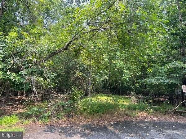 30 Acres of Recreational & Residential Land for Sale in Waldorf, Maryland