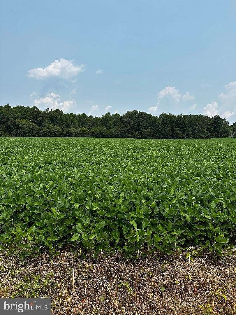 33.7 Acres of Land for Sale in Montross, Virginia