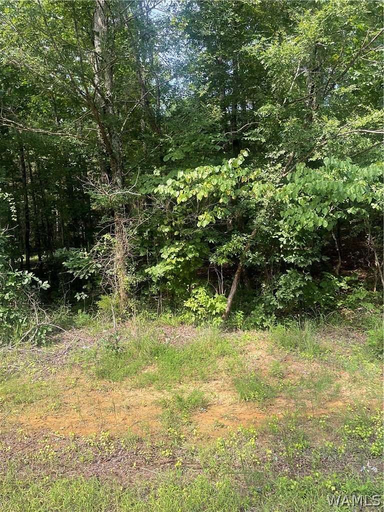 3.27 Acres of Residential Land for Sale in Northport, Alabama