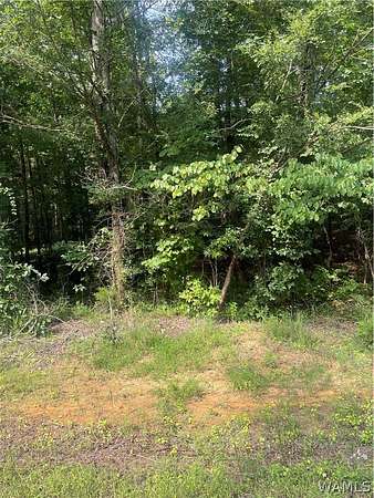 3.27 Acres of Residential Land for Sale in Northport, Alabama