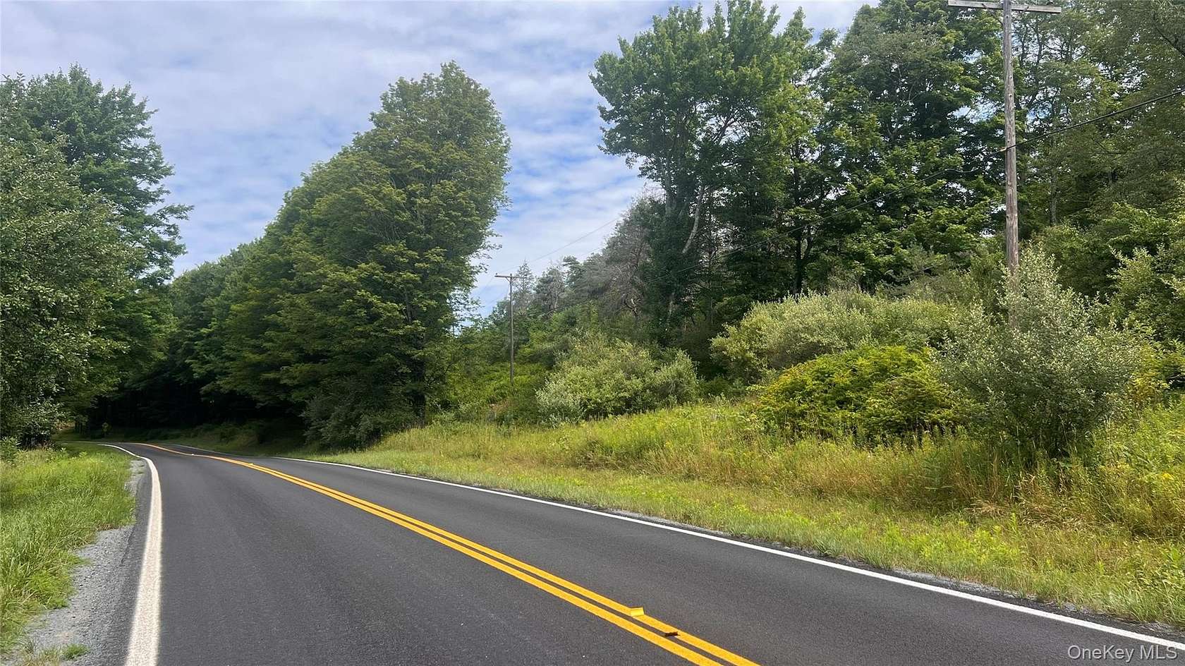 2.56 Acres of Residential Land for Sale in Swan Lake, New York