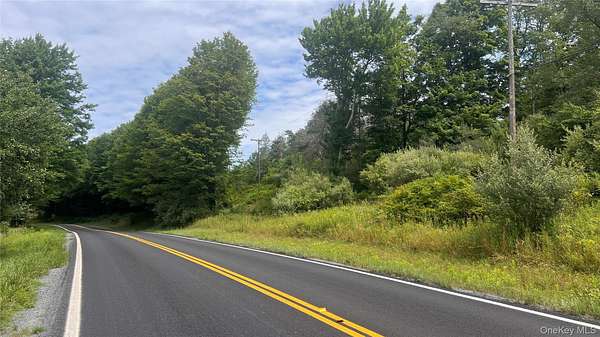 2.56 Acres of Residential Land for Sale in Swan Lake, New York