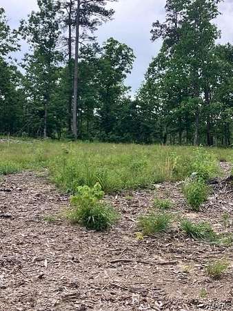 5 Acres of Land for Sale in Fredericktown, Missouri