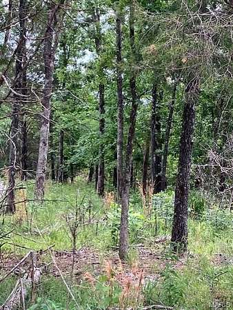 5 Acres of Land for Sale in Fredericktown, Missouri