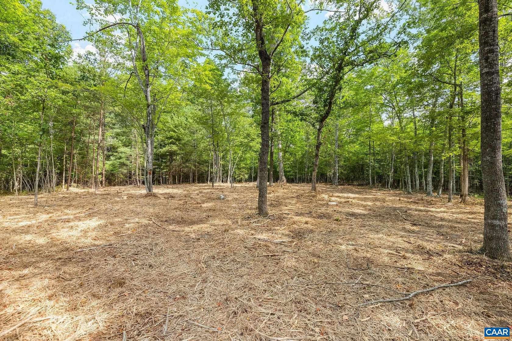 21 Acres of Recreational & Residential Land for Sale in Free Union, Virginia