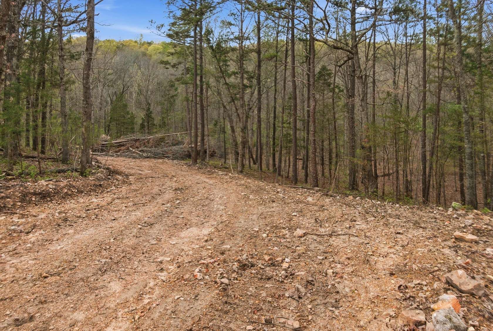 95.7 Acres of Recreational & Residential Land for Sale in Licking, Missouri