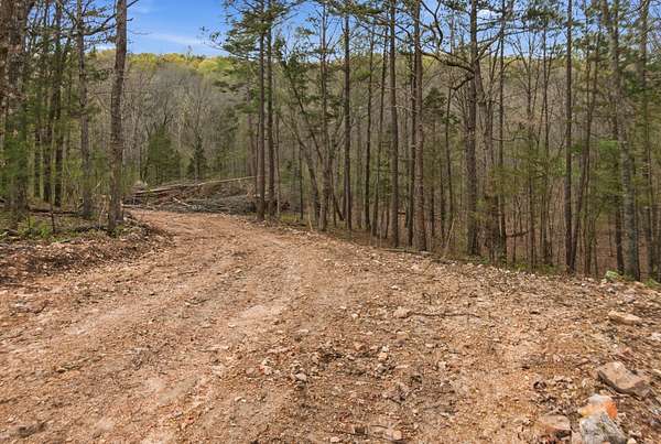 95.7 Acres of Recreational & Residential Land for Sale in Licking, Missouri