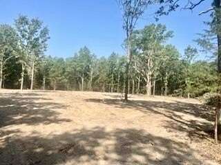39.5 Acres of Recreational & Residential Land for Sale in Licking, Missouri