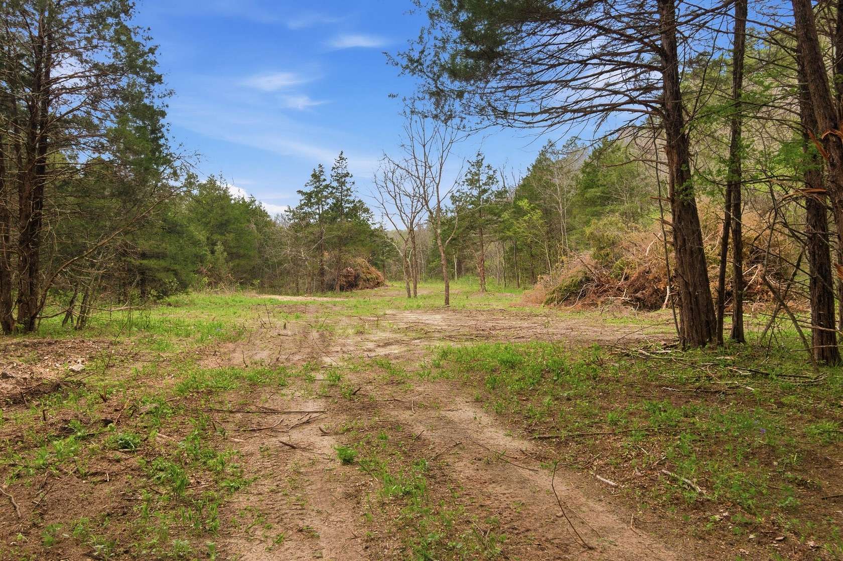 62.2 Acres of Recreational & Residential Land for Sale in Licking, Missouri