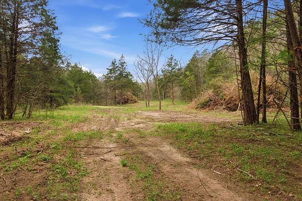 62.2 Acres of Recreational & Residential Land for Sale in Licking, Missouri