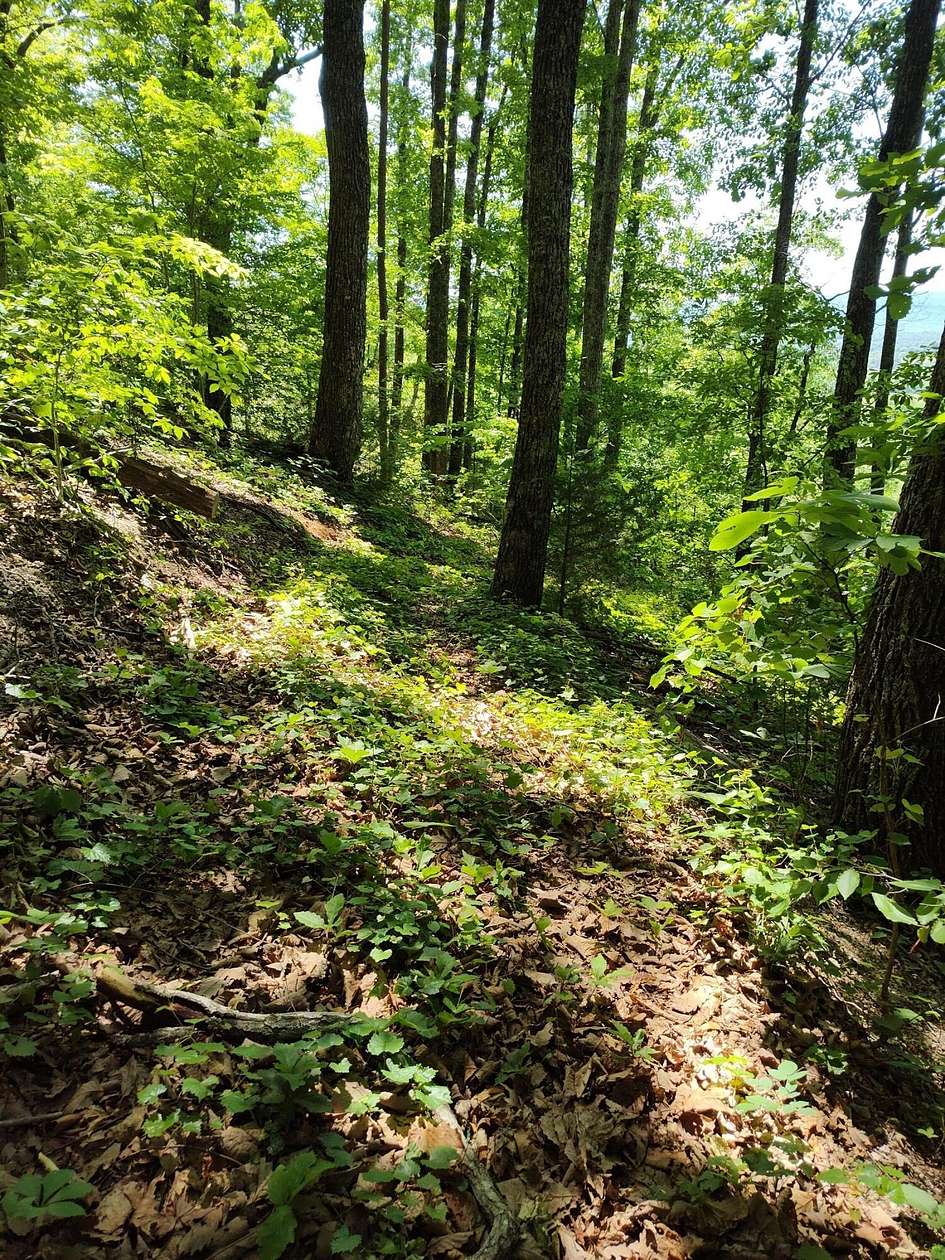 20.1 Acres of Land for Sale in Dunlap, Tennessee