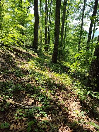 20.1 Acres of Land for Sale in Dunlap, Tennessee