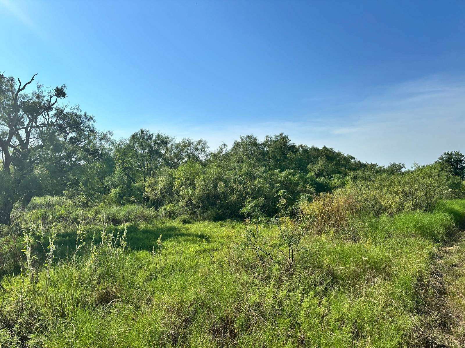 8 Acres of Residential Land for Sale in Brady, Texas