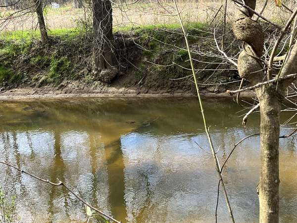 8 Acres of Land for Sale in Higdon, Alabama