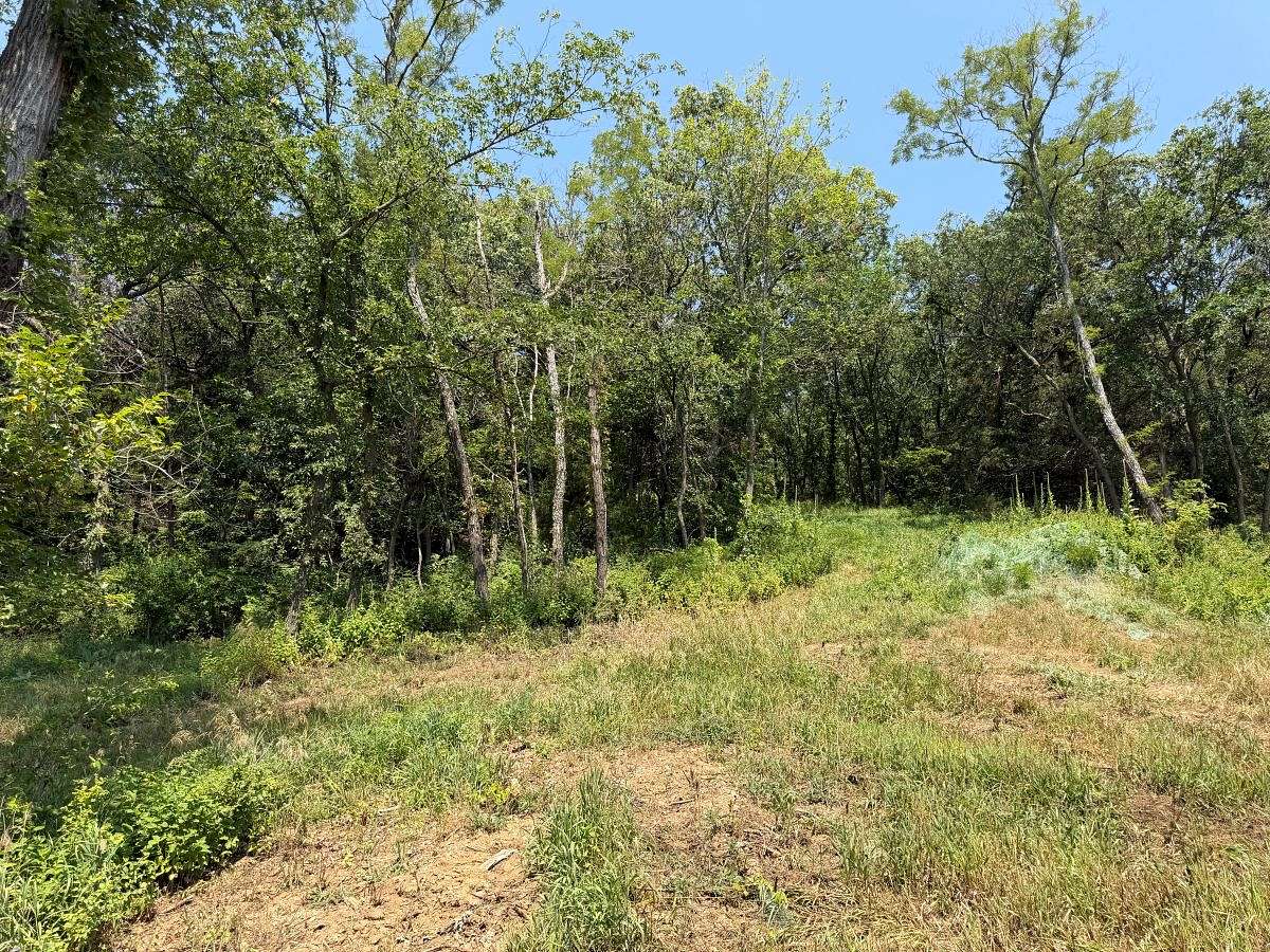 5.4 Acres of Residential Land for Sale in Sidney, Iowa