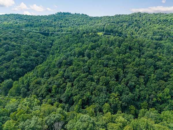80 Acres of Recreational Land for Auction in Monterey, Tennessee
