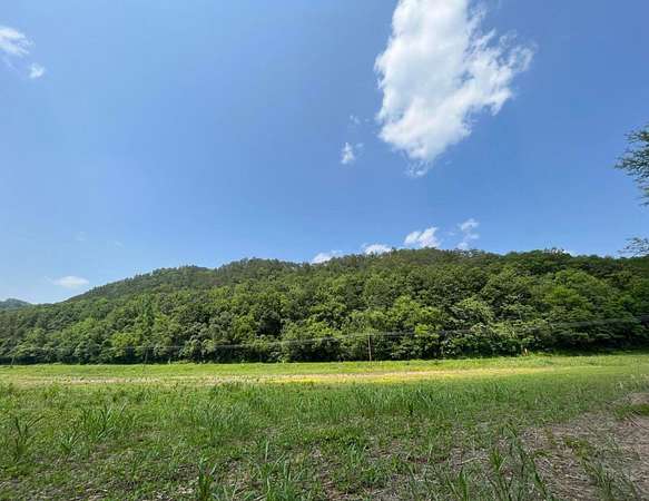 229 Acres of Recreational & Residential Land for Sale in Del Rio, Tennessee