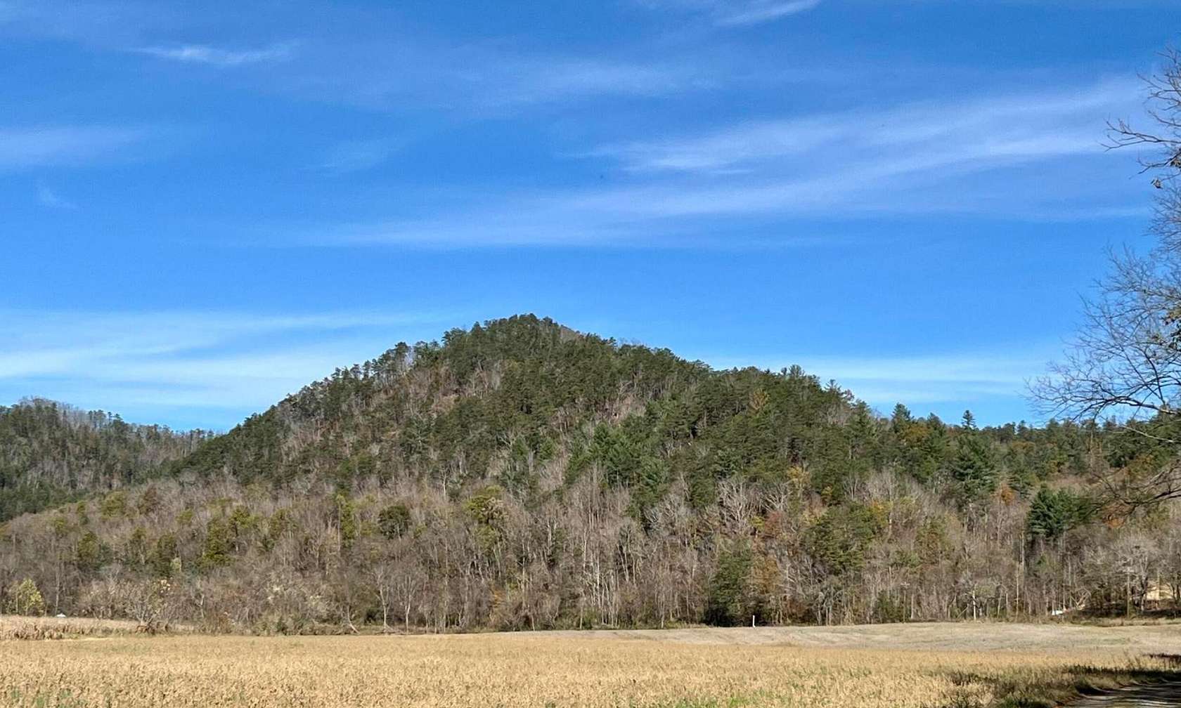26 Acres of Land for Sale in Del Rio, Tennessee