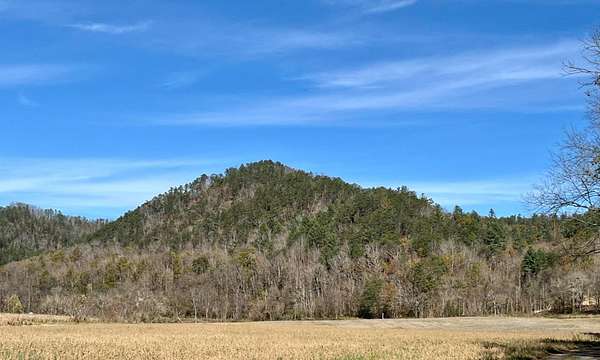 26 Acres of Land for Sale in Del Rio, Tennessee