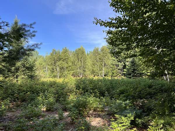 10.2 Acres of Recreational & Residential Land for Sale in Haynesville, Maine