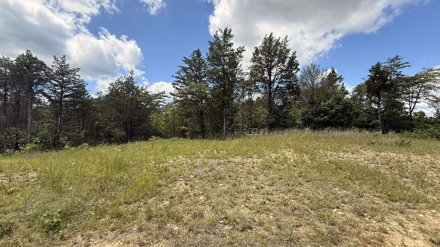 7.78 Acres of Residential Land for Sale in Bulls Gap, Tennessee