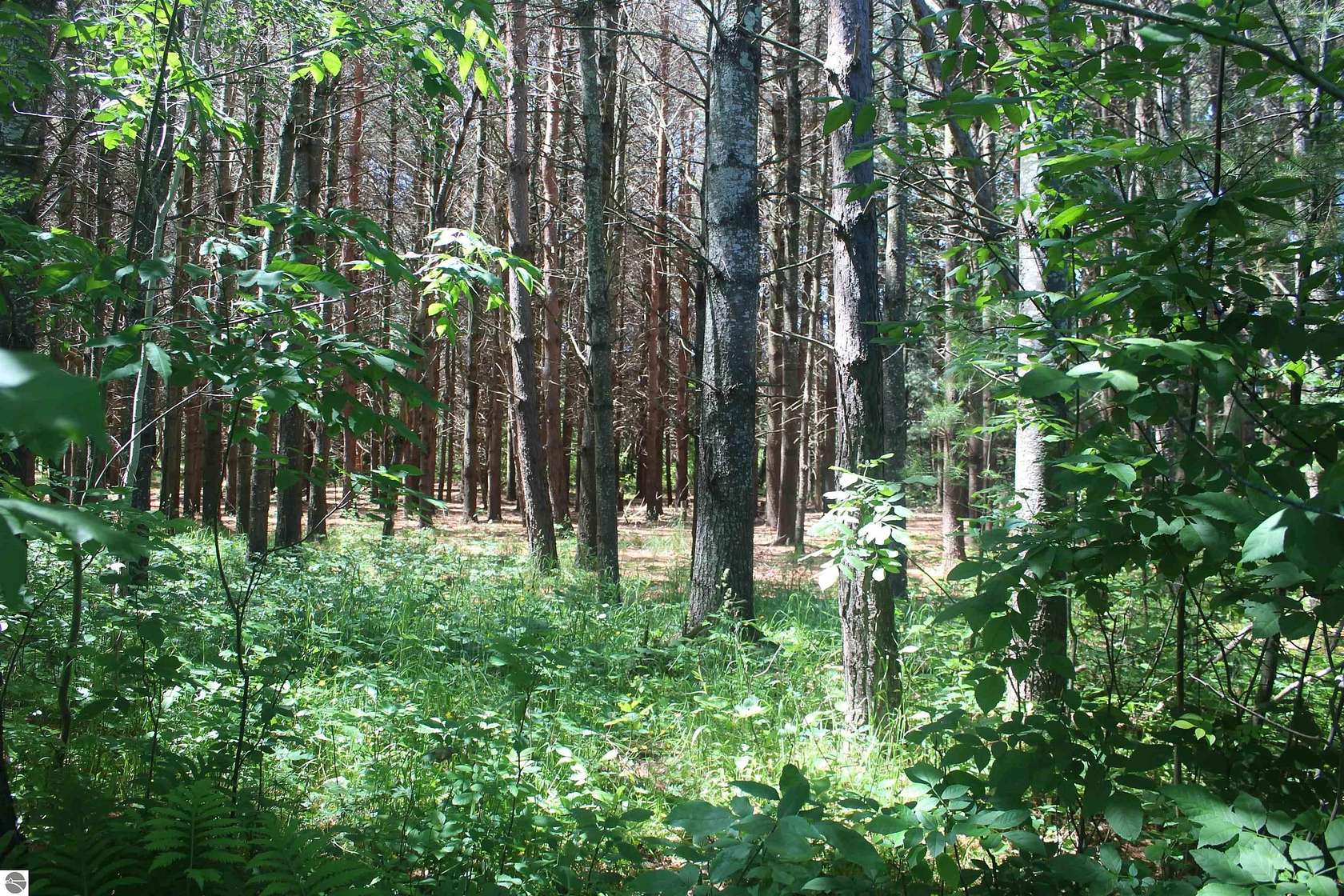 2 Acres of Residential Land for Sale in Kewadin, Michigan
