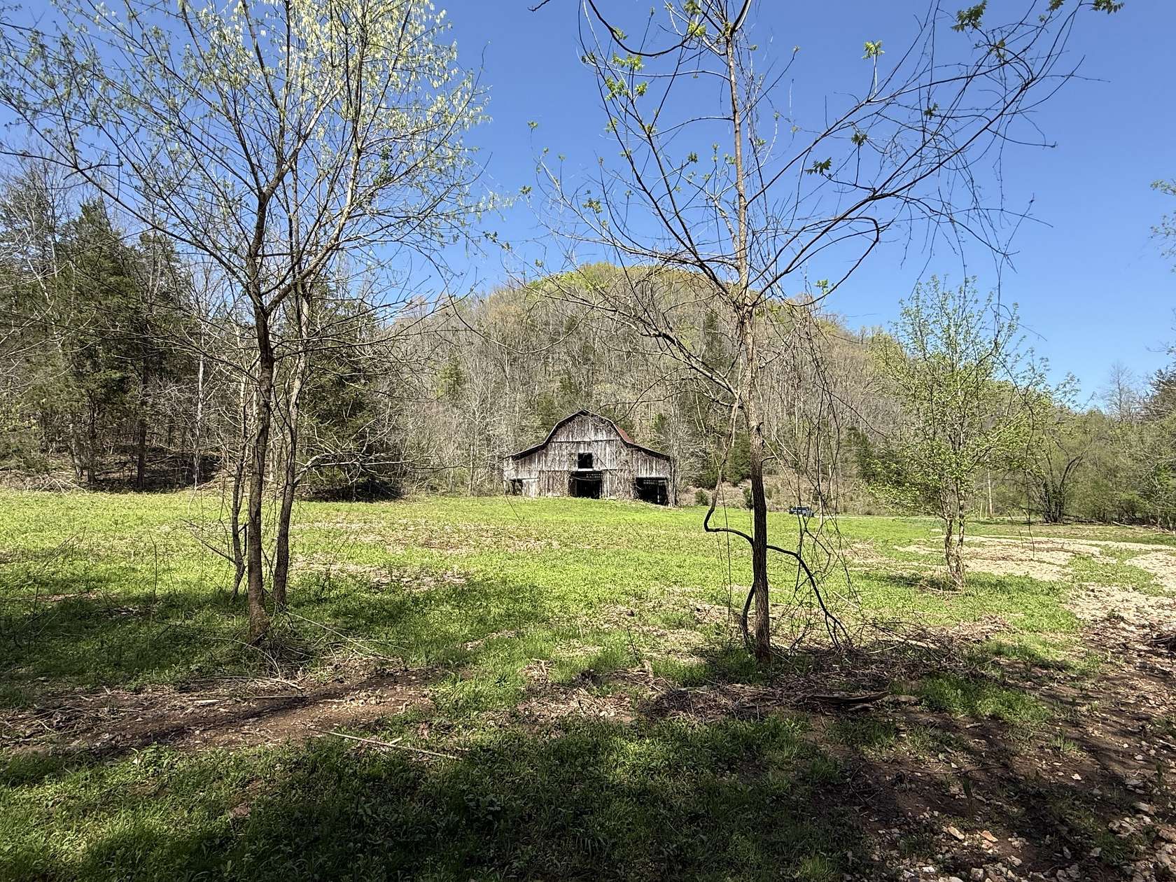136 Acres of Recreational & Residential Land for Sale in Liberty, Tennessee