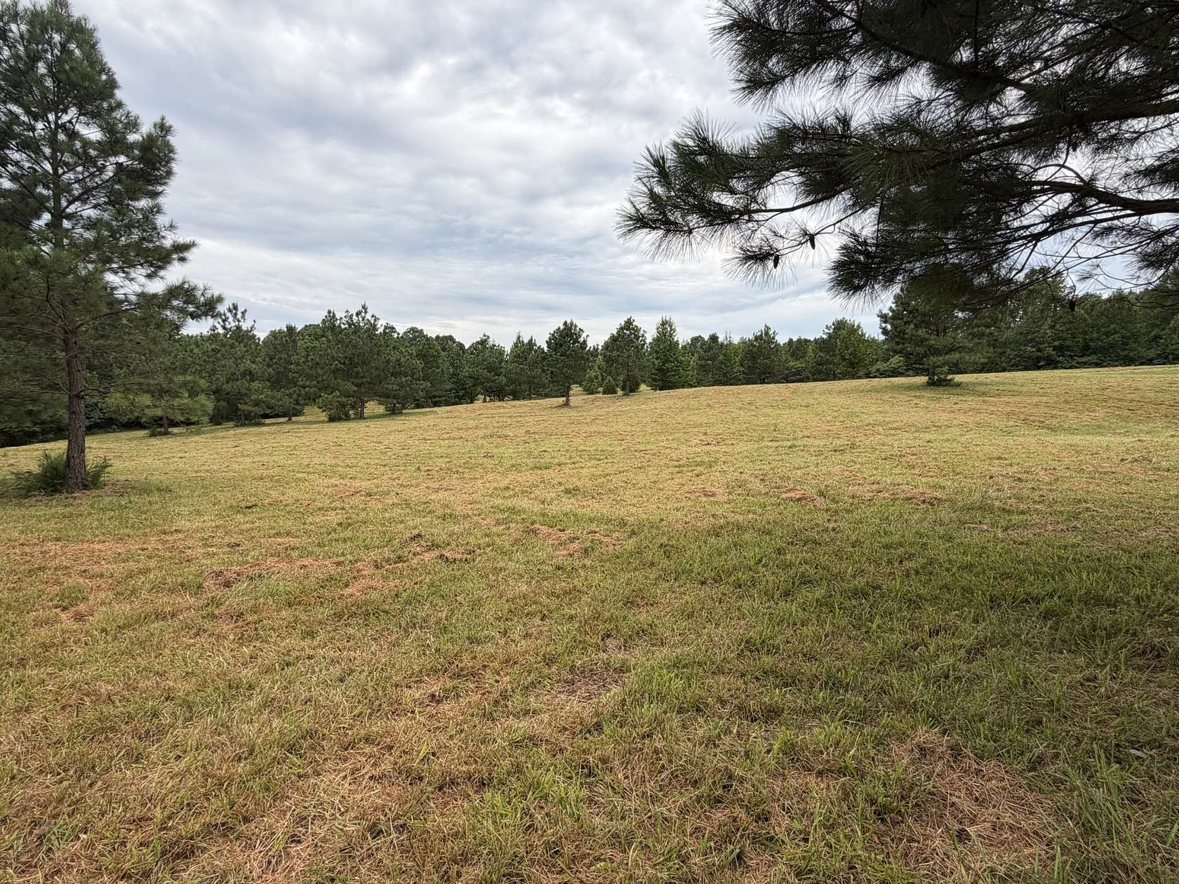12.5 Acres of Land for Sale in Big Rock, Tennessee