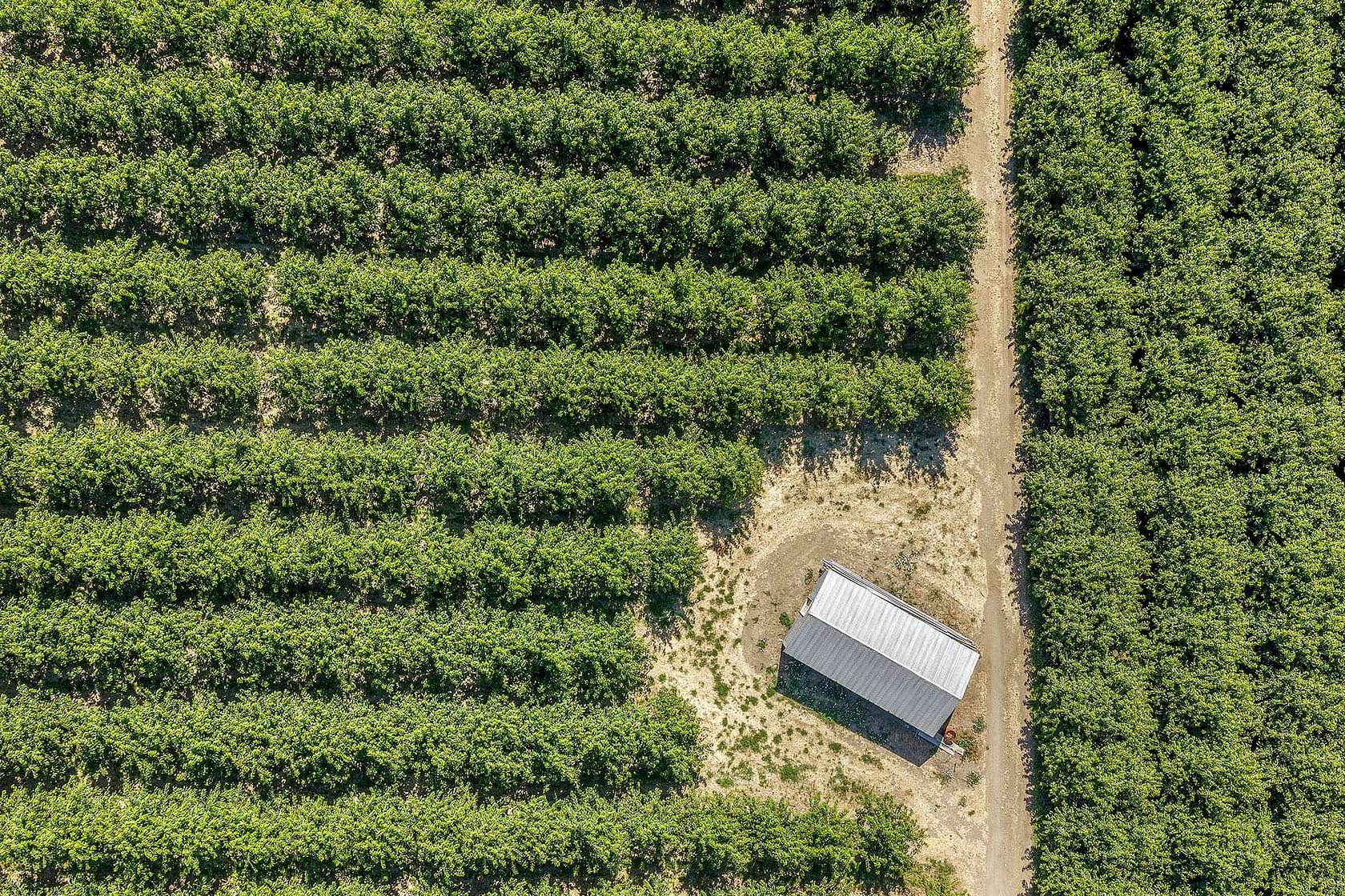 48 Acres of Land for Sale in The Dalles, Oregon