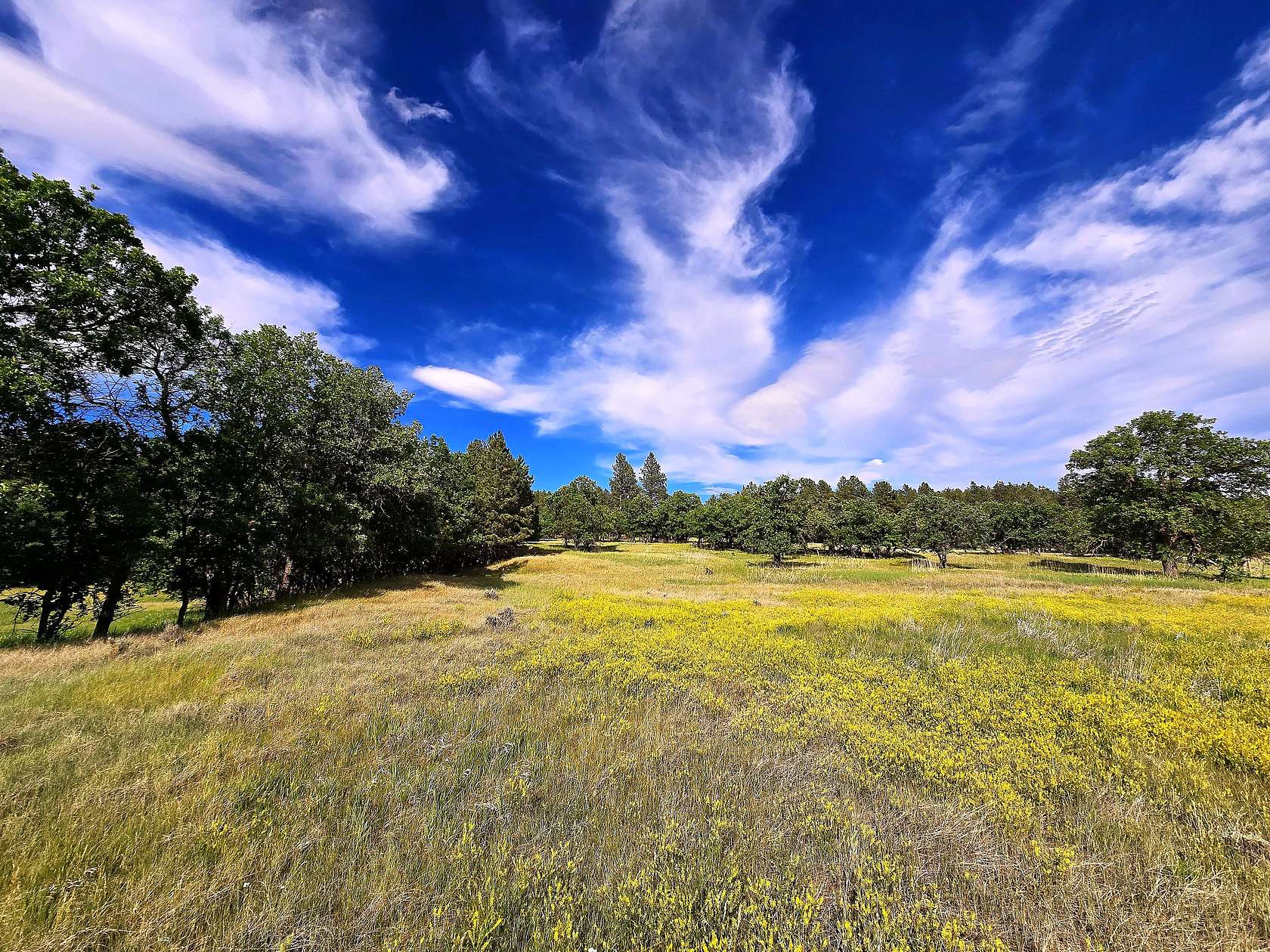 40 Acres of Recreational Land for Sale in Aladdin, Wyoming