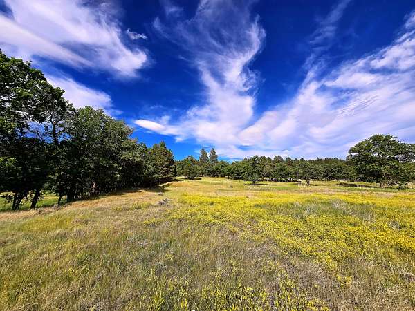 40 Acres of Recreational Land for Sale in Aladdin, Wyoming