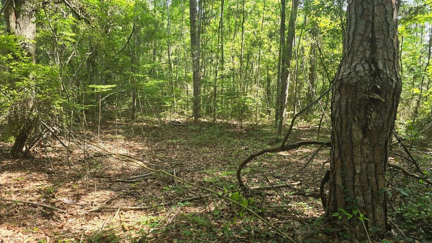 37 Acres of Land for Sale in State Line, Mississippi