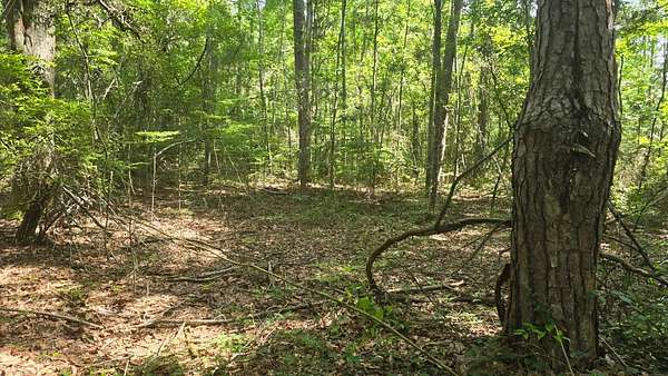 37 Acres of Land for Sale in State Line, Mississippi