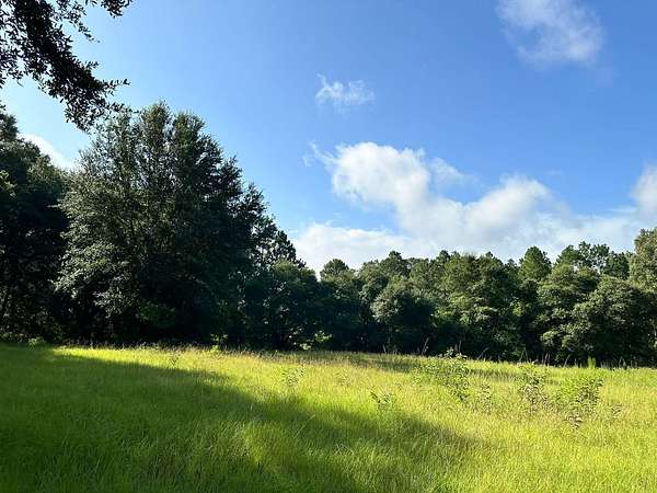 34.6 Acres of Land for Sale in Lumberton, Mississippi