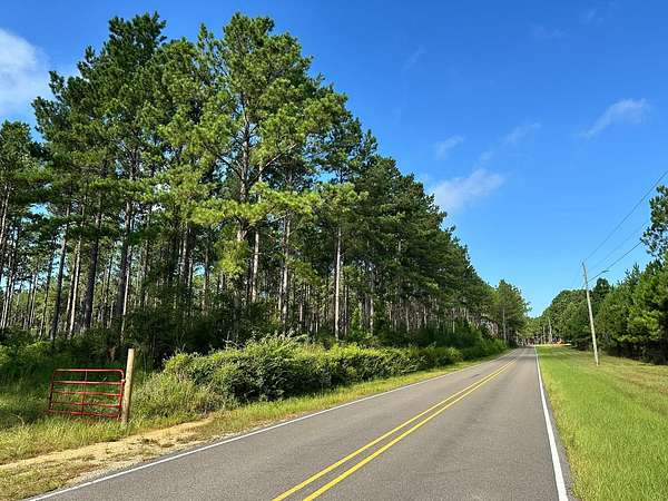 40.1 Acres of Land for Sale in Lumberton, Mississippi