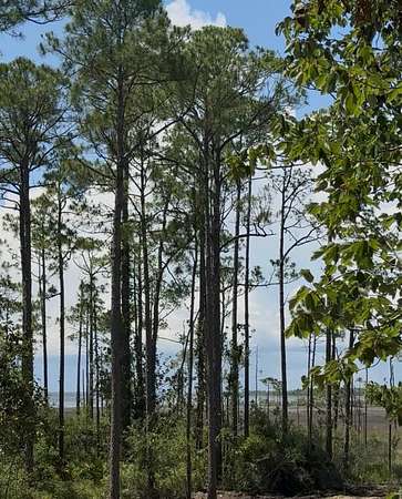 0.14 Acres of Residential Land for Sale in Santa Rosa Beach, Florida