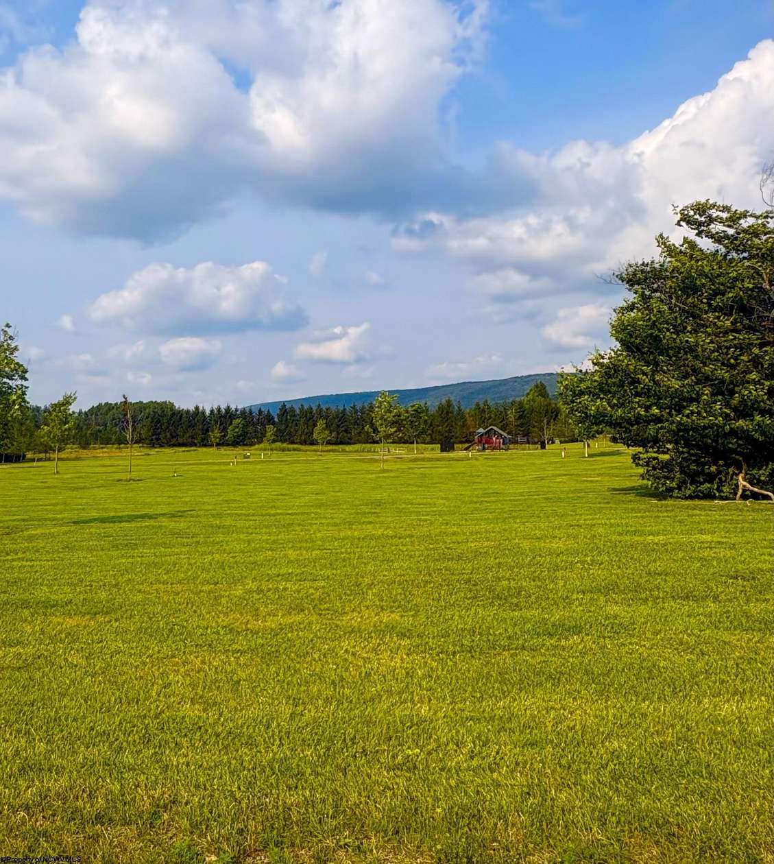 0.26 Acres of Residential Land for Sale in Davis, West Virginia
