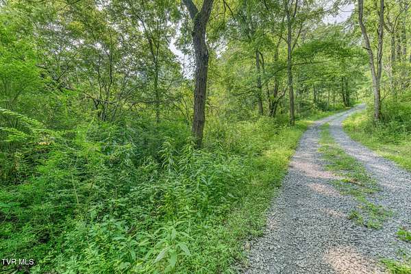 59.6 Acres of Land for Sale in Roan Mountain, Tennessee