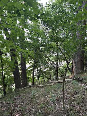 0.72 Acres of Land for Sale in Pentwater, Michigan