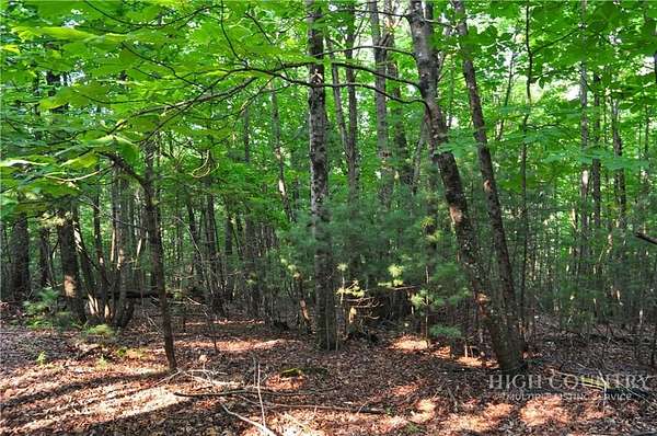 10.6 Acres of Land for Sale in Deep Gap, North Carolina