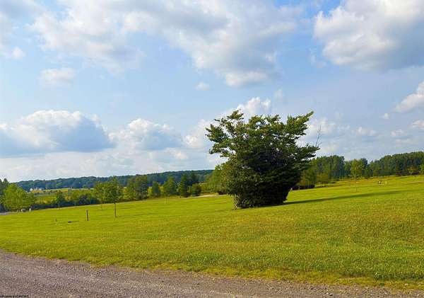 0.25 Acres of Residential Land for Sale in Davis, West Virginia