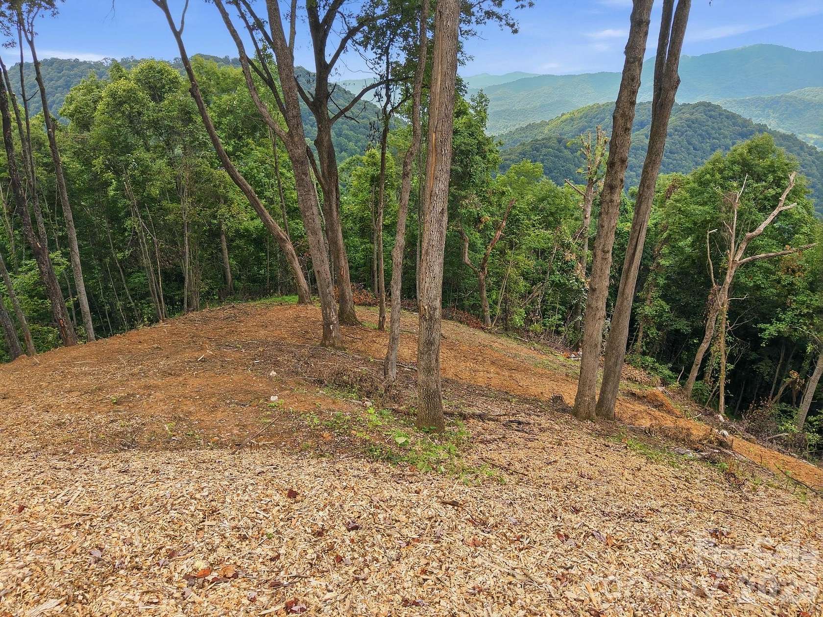 7.7 Acres of Residential Land for Sale in Leicester, North Carolina
