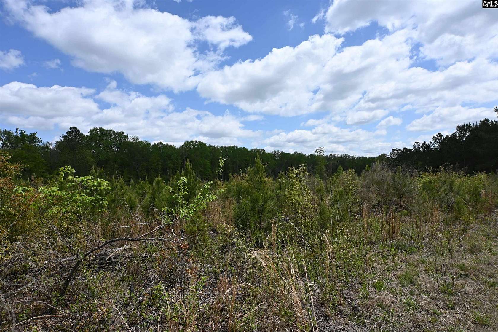 58 Acres of Land for Sale in West Columbia, South Carolina