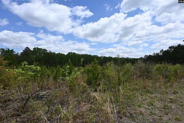 58 Acres of Land for Sale in West Columbia, South Carolina