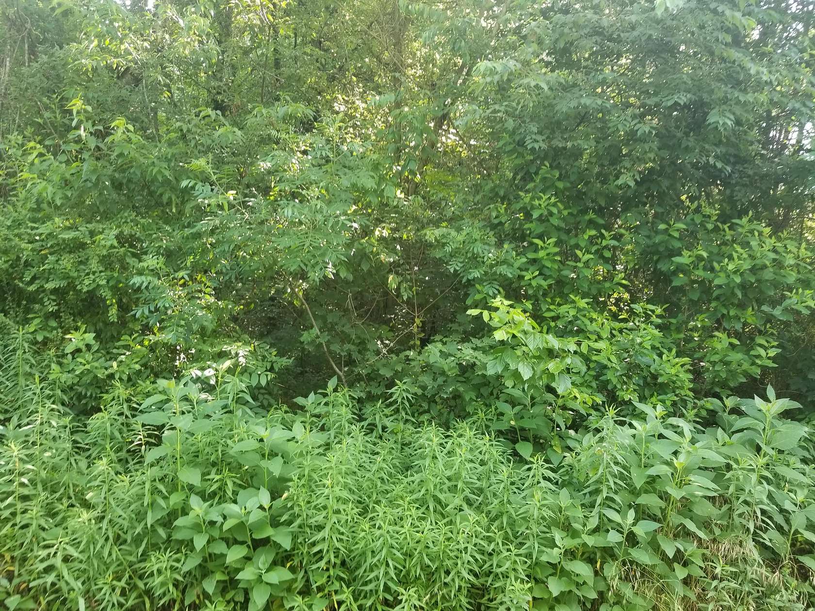 0.2 Acres of Residential Land for Sale in Loudon, Tennessee