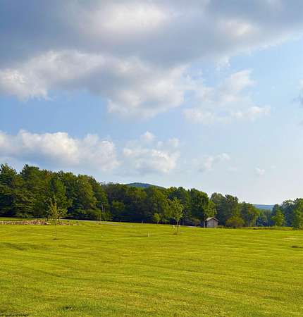 Residential Land for Sale in Davis, West Virginia