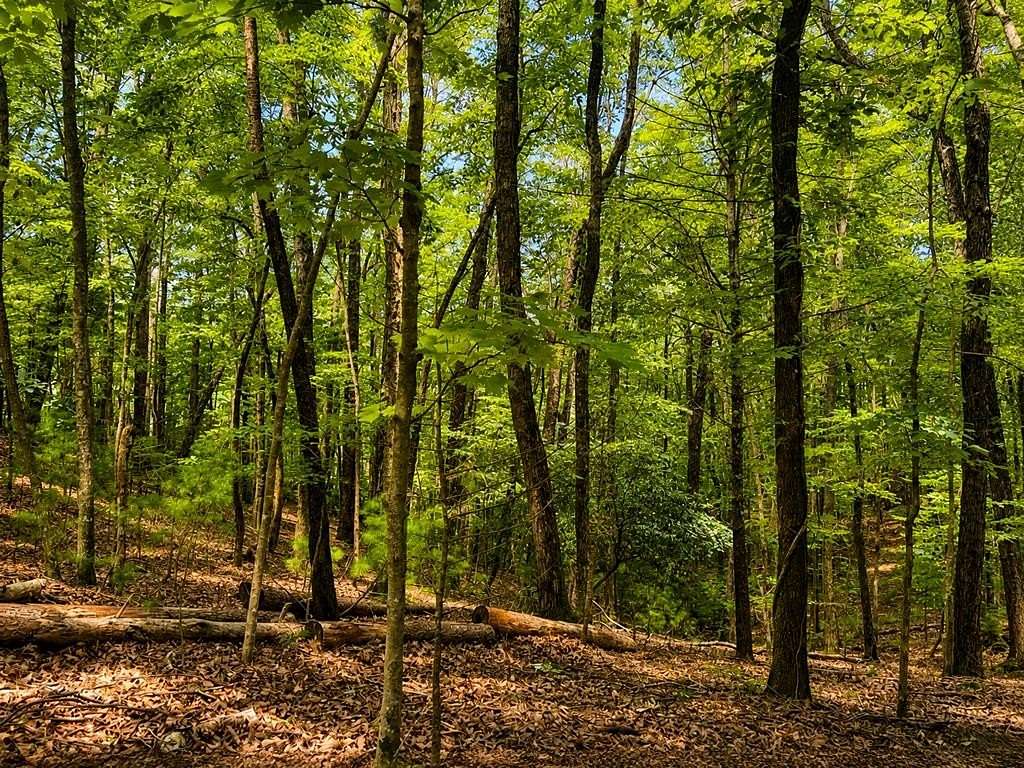 0.56 Acres of Residential Land for Sale in Ellijay, Georgia