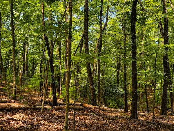 0.56 Acres of Residential Land for Sale in Ellijay, Georgia