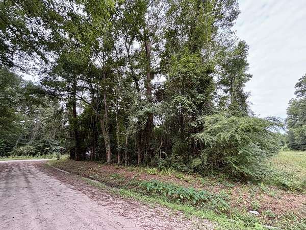 0.35 Acres of Residential Land for Sale in Ravenel, South Carolina